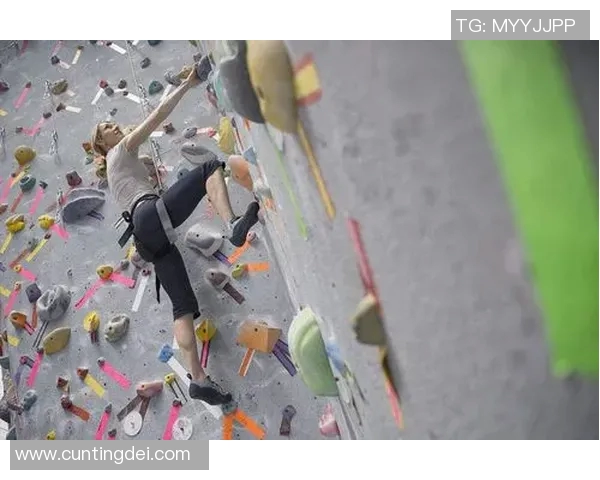 上海攀岩队运营分析与反思：成功经验与面临挑战的全面探讨