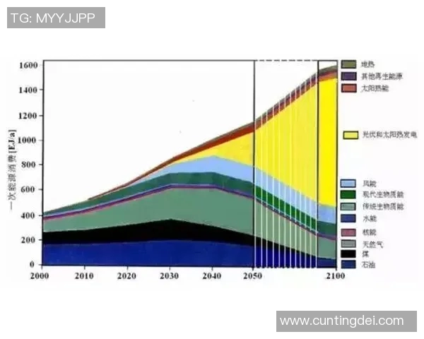 北京排球队实力分析与未来发展趋势的深度探讨