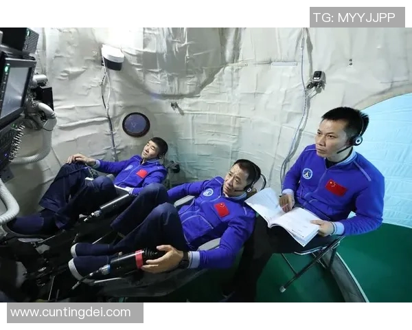 专访黄丽：深入探讨排球运动的成功秘诀与背后故事